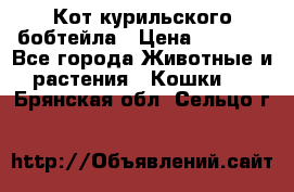 Кот курильского бобтейла › Цена ­ 5 000 - Все города Животные и растения » Кошки   . Брянская обл.,Сельцо г.